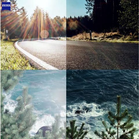  Zeiss SmartLife Individual AdaptiveSun – Tròng Kính Râm Cá Nhân Đơn Sắc và Chuyển Màu Thông Minh 