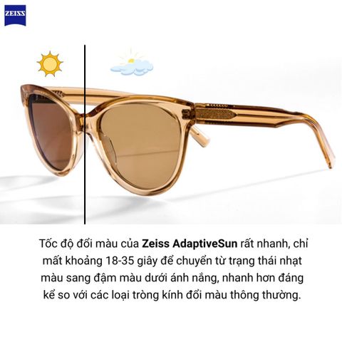  Zeiss SmartLife AdaptiveSun Tròng Kính Râm Đơn Sắc và Chuyển Màu Thông Minh 