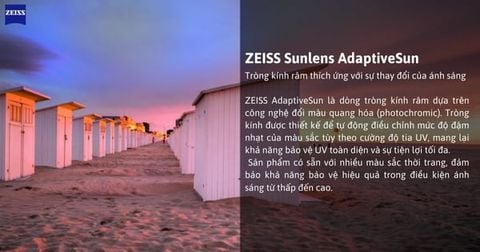  Zeiss AdaptiveSun Polarized Digital Light 2 3D Tròng Kính Râm Phân Cực Đổi Màu với Lớp Phủ DuraVision Gold 