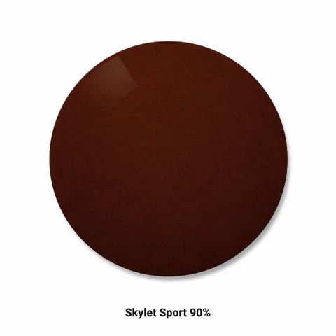  Zeiss SmartLife Polarized/SmartLife Polarized Individual – Tròng Kính Đơn Tròng Phân Cực Lớp Phủ DuraVision Platinum/Sun 