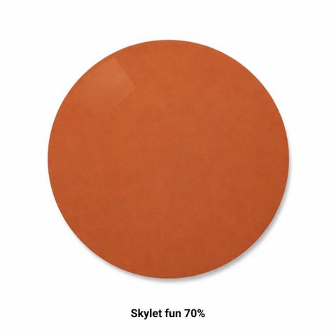  Zeiss SmartLife Polarized/SmartLife Polarized Individual – Tròng Kính Đơn Tròng Phân Cực Lớp Phủ DuraVision Platinum/Sun 