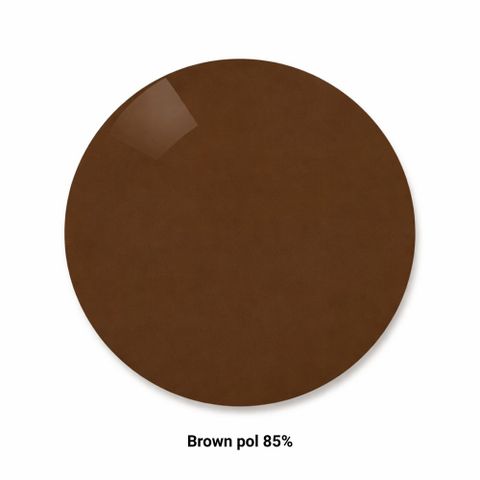  Zeiss SmartLife Polarized/SmartLife Polarized Individual – Tròng Kính Đơn Tròng Phân Cực Lớp Phủ DuraVision Platinum/Sun 