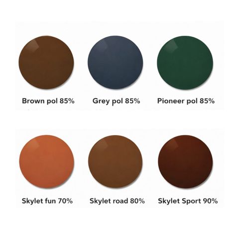  Zeiss SmartLife Polarized/SmartLife Polarized Individual – Tròng Kính Đơn Tròng Phân Cực Lớp Phủ DuraVision Platinum/Sun 