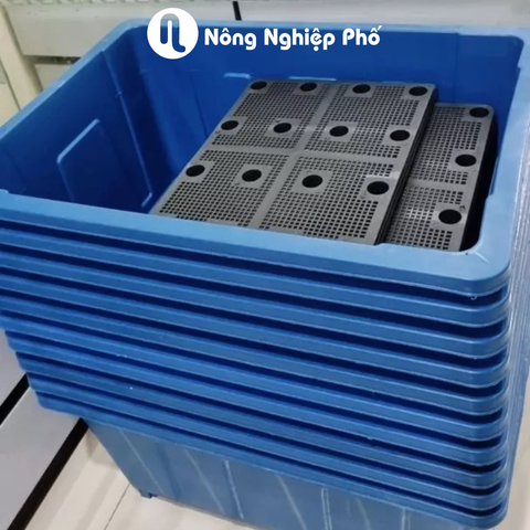 Chậu Aquaponics 45L chậu nhựa cứng trồng rau củ quả tại nhà - Không logo