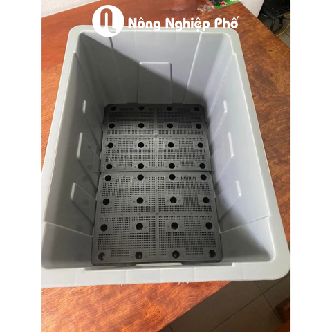 Chậu Aquaponics 45L chậu nhựa cứng trồng rau củ quả tại nhà - Không logo