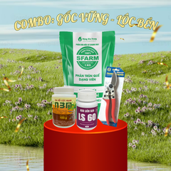 Combo GỐC VỮNG - LỘC BỀN (Phục hồi Mai, Đào, Quất sau Tết)