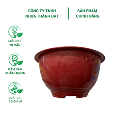 Chậu nhựa truyền thống trồng mai, hoa kiểng