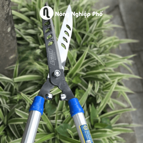Kéo cắt tỉa hàng rào C-Mart A0064