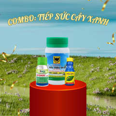 Combo TIẾP SỨC CÂY XANH ( Chăm sóc cây văn phòng & chung cư)
