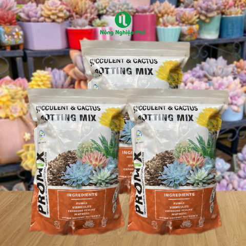 Giá Thể Trộn Sẵn Cao Cấp Trồng Sen Đá, Xương Rồng- PROMIX - Túi 3L - tại CH Hà Nội