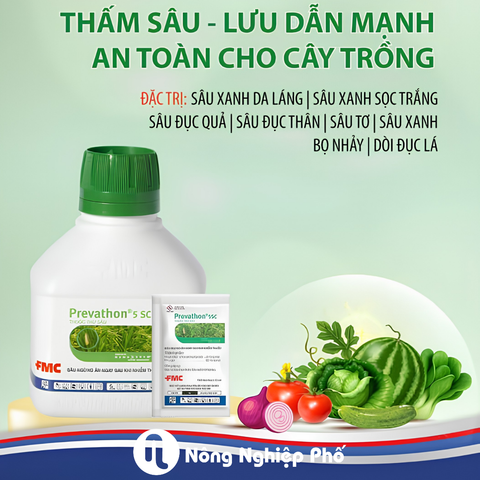 Thuốc trừ sâu FMC PREVATHON 5SC 150ml đặc trị sâu đục thân, sâu cuốn lá và các dòng sâu miệng nhai. Thấm sâu, lưu dẫn mạnh, hiệu quả cao.