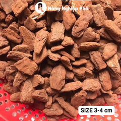 Vỏ thông size 3-4 - Túi 1kg
