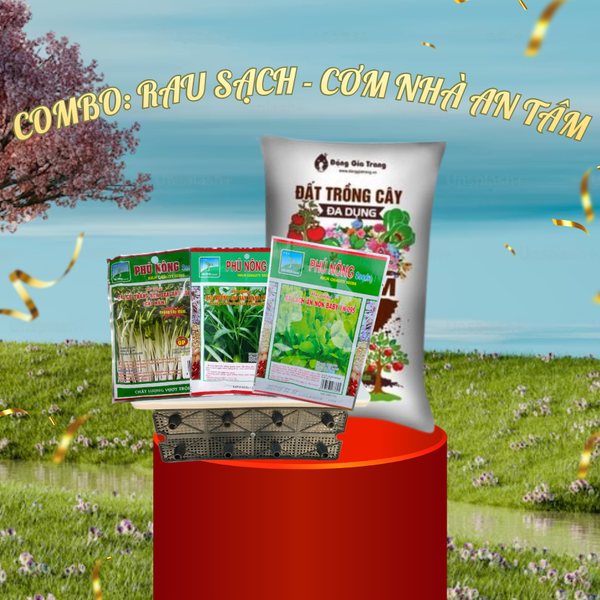 Combo RAU SẠCH - CƠM NHÀ AN TÂM (Trồng rau tại nhà)