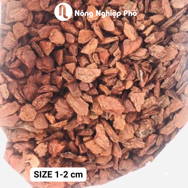 Vỏ thông size 1-2 - Túi 1kg