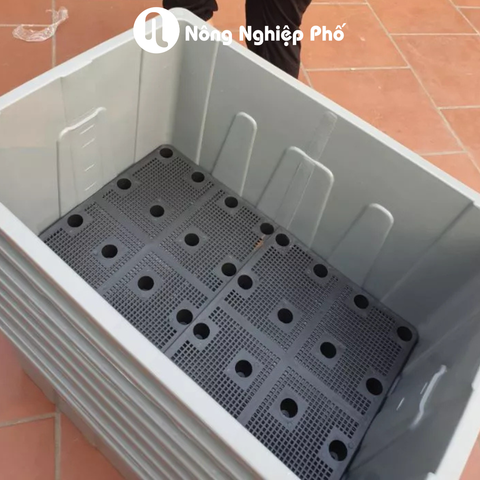 Chậu Aquaponics 70L chuyên trồng rau củ quả, cây ăn trái - Không logo