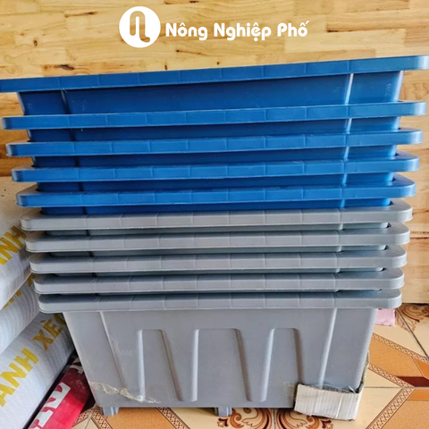 Chậu Aquaponics 70L chuyên trồng rau củ quả, cây ăn trái - Không logo