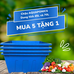Chậu Aquaponics 70L chuyên trồng rau củ quả, cây ăn trái - Chậu Loại 1