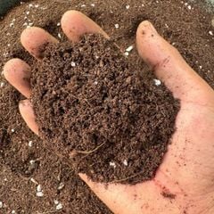 Giá thể ươm hạt giống SFARM (Bao 50dm³) – Cung cấp dinh dưỡng, dùng ươm cây giống & rau mầm