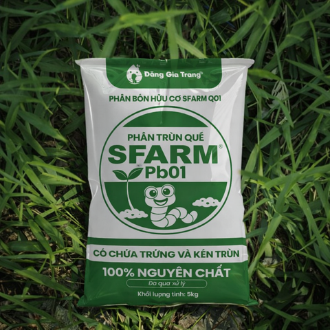 Phân trùn quế cao cấp Sfarm đã qua xử lý - Chuyên bón cho rau sạch, kiểng lá và hoa hồng