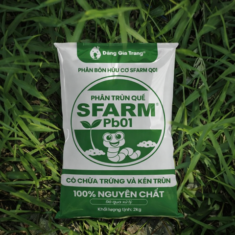 Phân trùn quế cao cấp Sfarm đã qua xử lý - Chuyên bón cho rau sạch, kiểng lá và hoa hồng