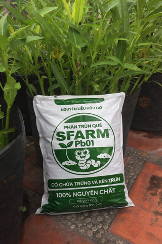 Phân trùn quế cao cấp Sfarm đã qua xử lý - Chuyên bón cho rau sạch, kiểng lá và hoa hồng
