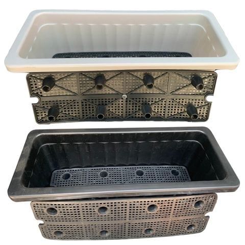 Combo RAU SẠCH - CƠM NHÀ AN TÂM ( Trồng rau tại nhà)