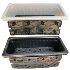 Combo RAU SẠCH - CƠM NHÀ AN TÂM ( Trồng rau tại nhà)