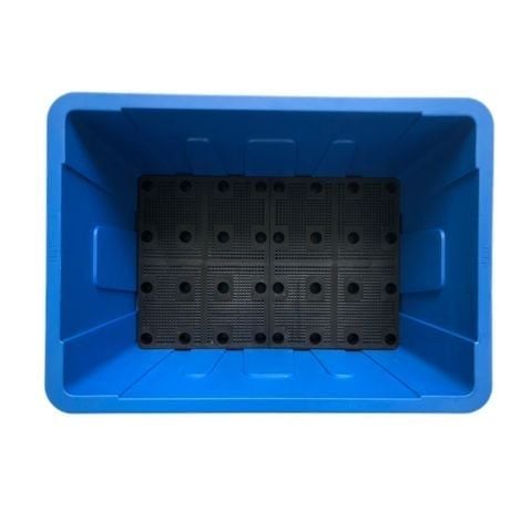 Chậu Aquaponics 70L chuyên trồng rau củ quả, cây ăn trái - Chậu Loại 1