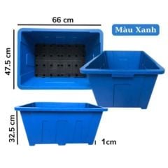 Chậu Aquaponics 70L chuyên trồng rau củ quả, cây ăn trái - Chậu Loại 1