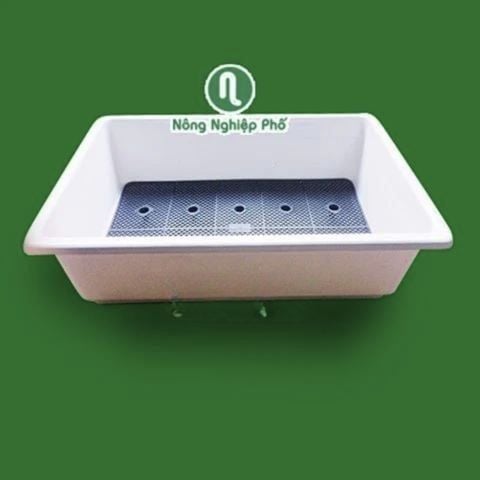 Chậu trồng rau hình chữ nhật 63x41x16cm - Nhựa PP bền màu, thoát nước tốt