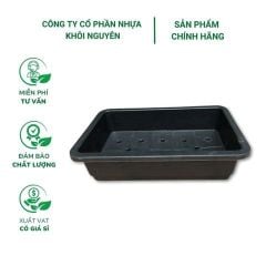 Chậu Trồng Rau Thông Minh 67x42x16cm  - Nhựa PP bền màu, thoát nước tốt