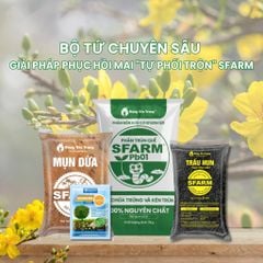 Combo Bộ sản phẩm phục hồi mai SFARM mini - TẠI CH HCM