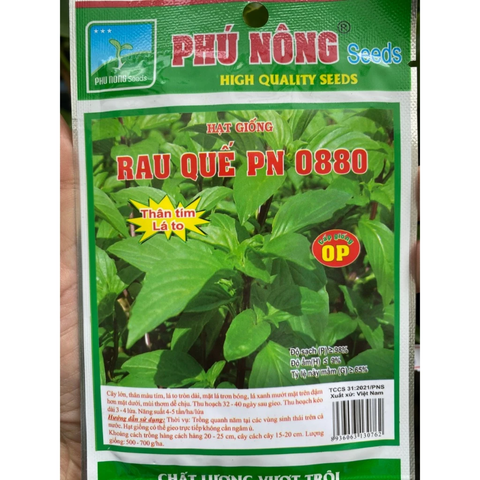Hạt giống Rau Quế (Húng Quế) PN 07