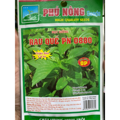 Hạt giống Rau Quế (Húng Quế) PN 07