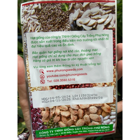 Hạt giống Rau Quế (Húng Quế) PN 07