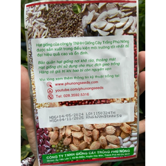 Hạt giống Rau Quế (Húng Quế) PN 07