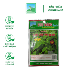 Hạt giống Rau Quế (Húng Quế) PN 07