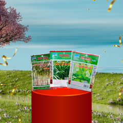 COMBO 3 LOẠI RAU XANH DỄ TRỒNG