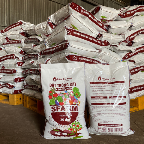 Combo RAU SẠCH - CƠM NHÀ AN TÂM ( Trồng rau tại nhà)