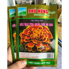 Hạt giống Hoa Cúc Vạn Thọ Đỏ Pháp Bee PN 533 - Gói 20 hạt