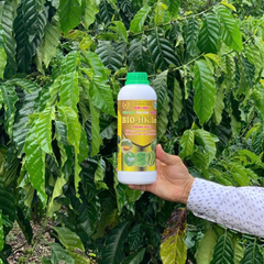 Nấm 3 màu BIO-HK. INS (Chai 1 Lít) - Phòng ngừa nấm, vi khuẩn, tuyến trùng, sâu tơ, vẽ bùa, ruồi, rầy, rệp sáp