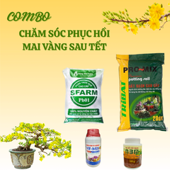 Combo chăm sóc và phục hồi mai sau Tết (Basic) - Tại CH TP. HCM