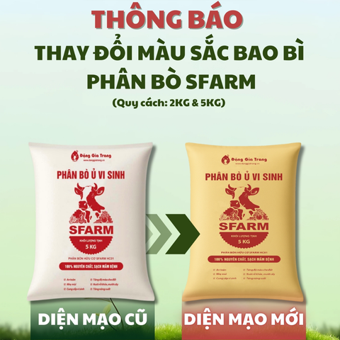 Phân bò ủ vi sinh SFARM – Phân hữu cơ cải tạo đất, tơi đất, giàu mùn