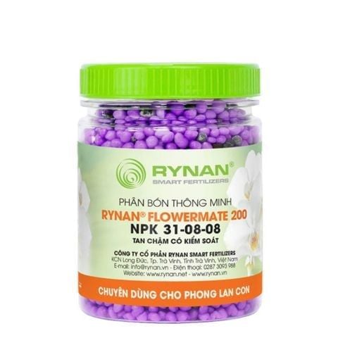 Combo LAN QUÝ HỒI XUÂN (Phục hồi Lan sau mùa hoa)