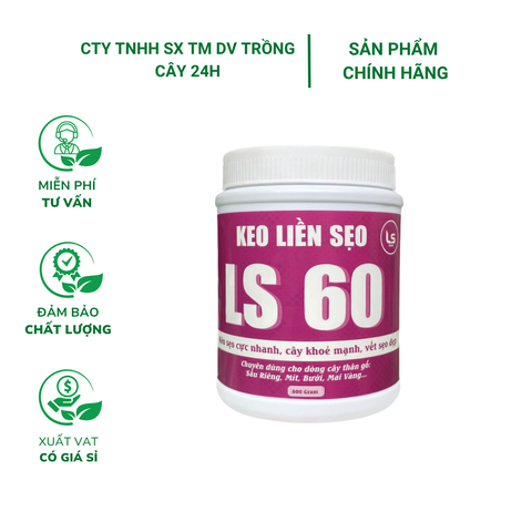 Keo liền sẹo liền da LS60 - Diệt khuẩn tốt kéo sẹo nhanh dùng cho cây trồng