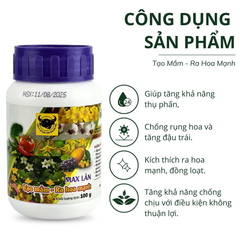 Phân Đầu Trâu MAX LÂN 58 siêu kích tạo mầm hoa - Chai 100 gram