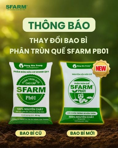 Phân trùn quế cao cấp Sfarm đã qua xử lý - Chuyên bón cho rau sạch, kiểng lá và hoa hồng