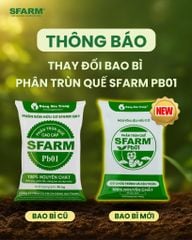 Phân trùn quế cao cấp Sfarm đã qua xử lý - Chuyên bón cho rau sạch, kiểng lá và hoa hồng