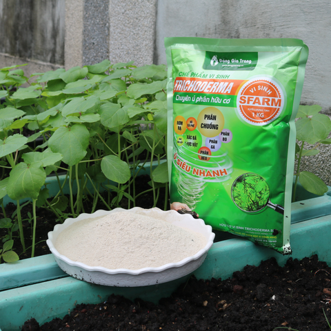 Chế phẩm vi sinh Trichoderma SFARM (1kg) – Chuyên ủ phân hữu cơ, giảm mùi, nhanh hoai mục