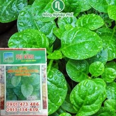 Combo ‘’Khu Vườn Của Bé